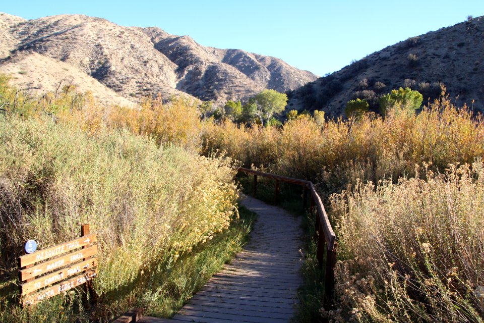 Big Morongo Canyon Preserve