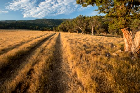 small Sutey Ranch CO-0175
