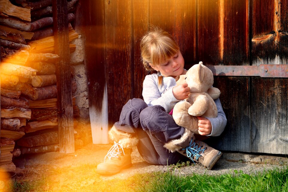 Teddy bear lighting sunlight
