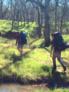 Sacramento River Bend, Yana Trail photo