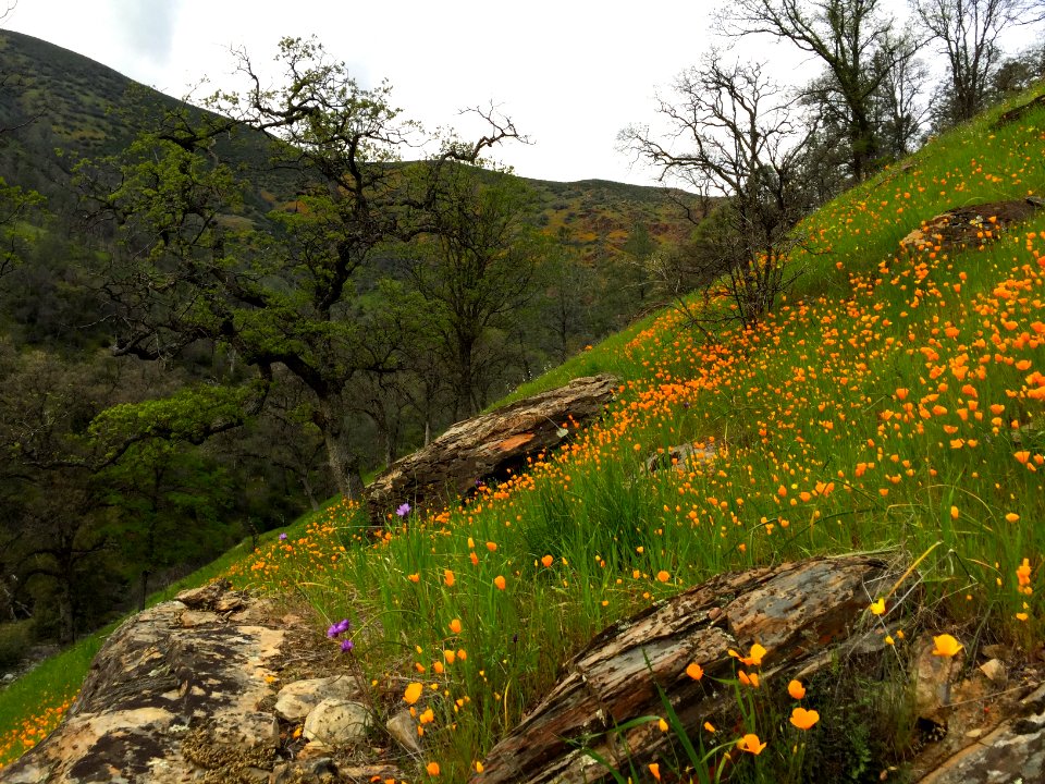 Merced River Recreation Area