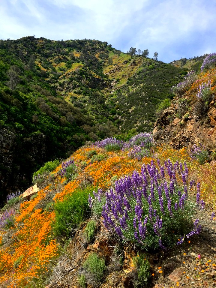 Merced River Recreation Area