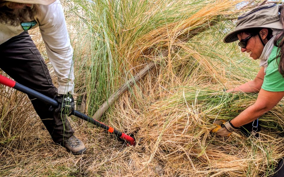 #NPLD 2016: La Quinta Cove Volunteer Day