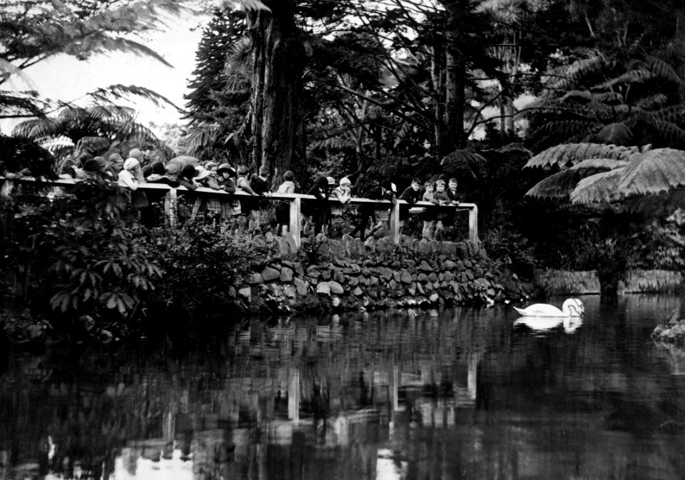 00138-12299; Children feeding the swan at the Duck Pond, Botanic Gardens - [1933]
