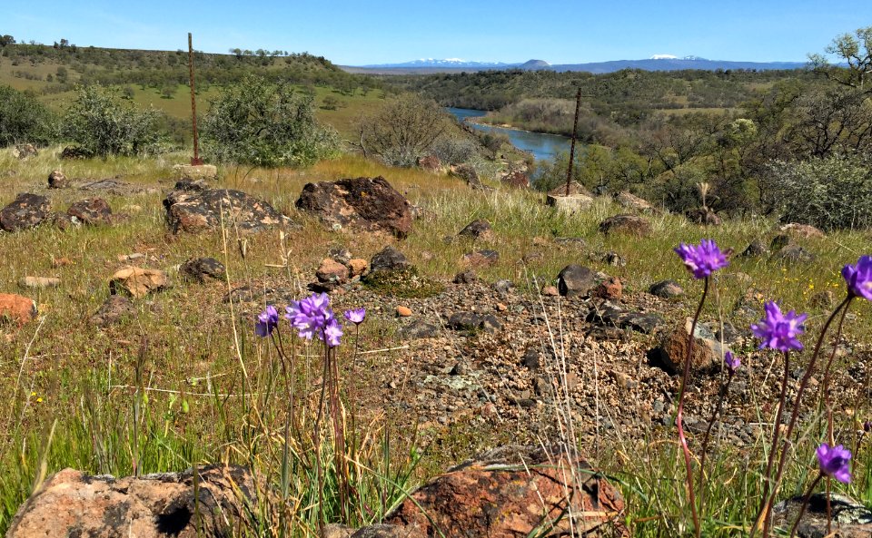Sacramento River Bend, Yana Trail