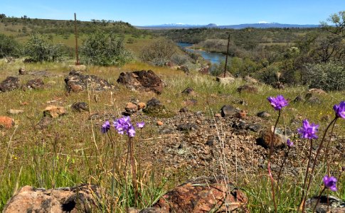 Sacramento River Bend, Yana Trail