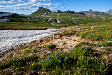 Uncompahgre Wilderness