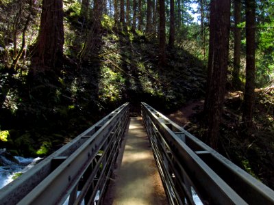 Bridge at Falls Creek Falls Trail in WA