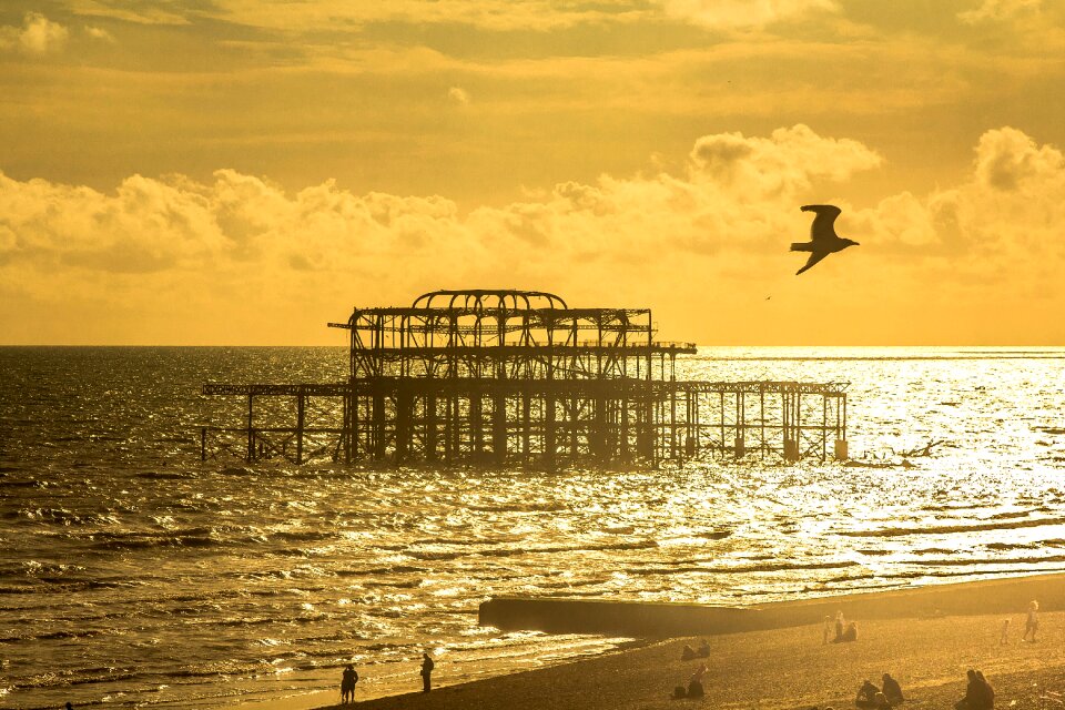 Brighton old pier skeleton