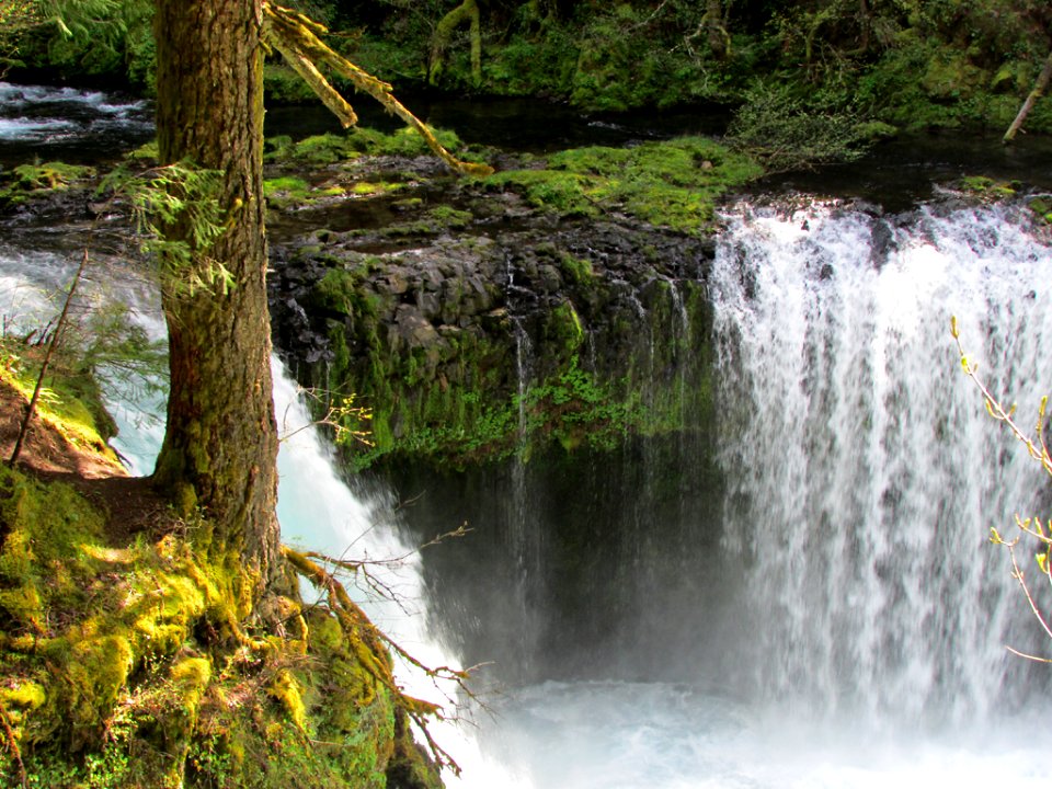 Spirit Falls Trail on Little White Salmon River in WA