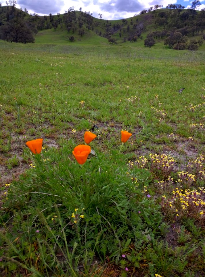 Berryessa Snow Mountain National Monument Dedication Celebration photo