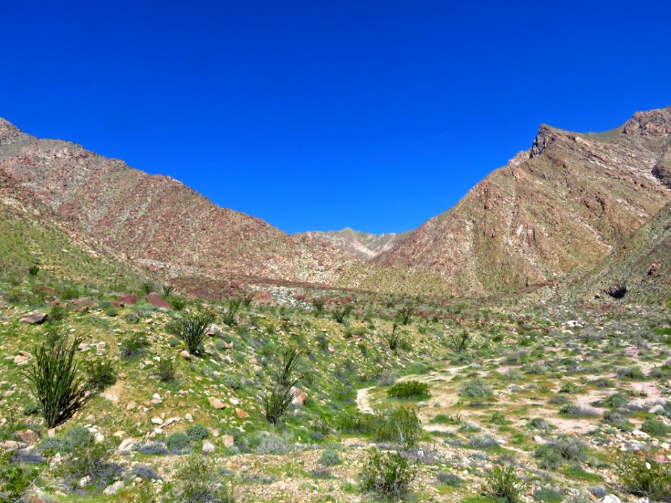 Anza-Borrego Desert SP in CA