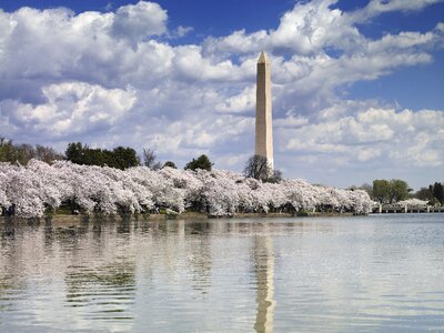 Water reflection pool photo