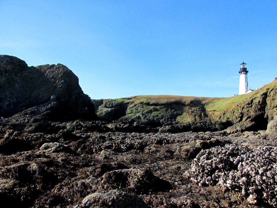 Lighthouse at Yaquina Head in OR