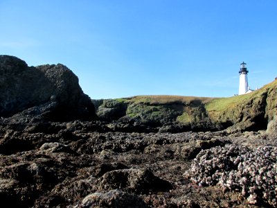 Lighthouse at Yaquina Head in OR