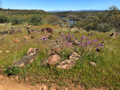 Sacramento River Bend, Yana Trail