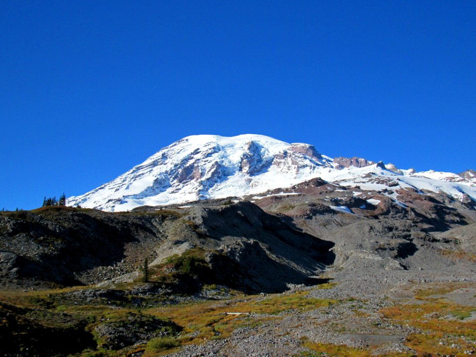 Autumn at Skyline Trail at Mt. Rainier NP in WA