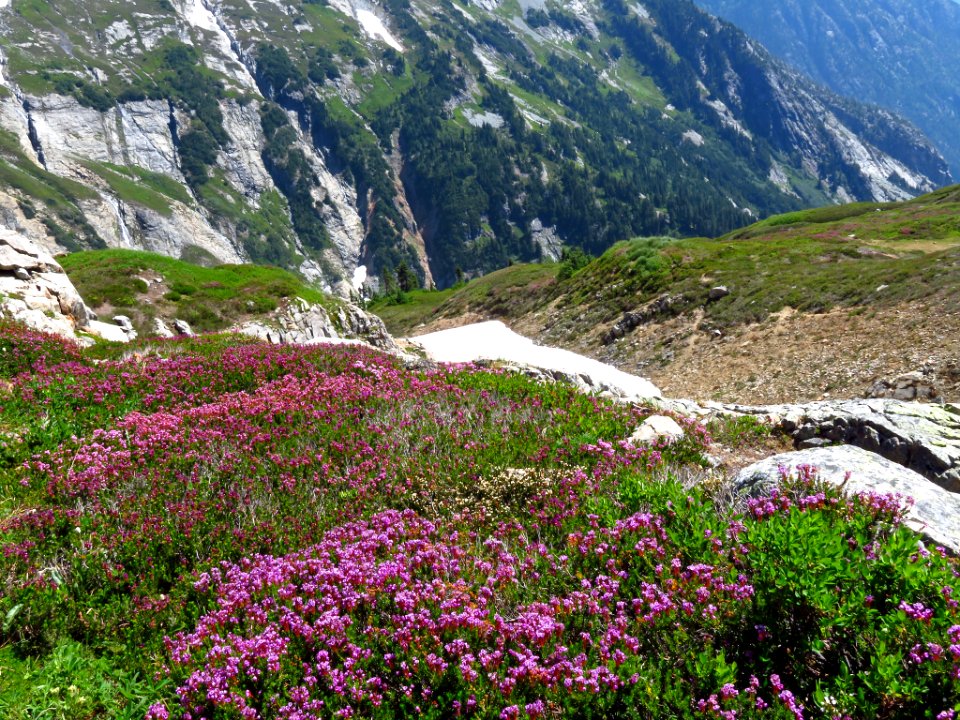 Cascade Pass at North Cascades NP in WA
