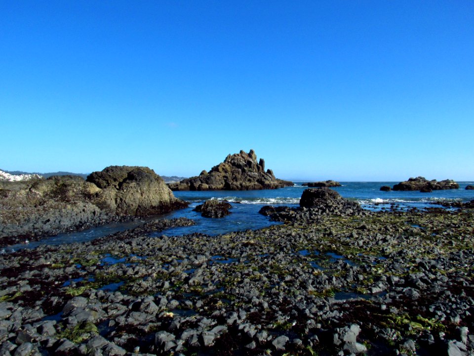 Yaquina Head Natural Area in OR