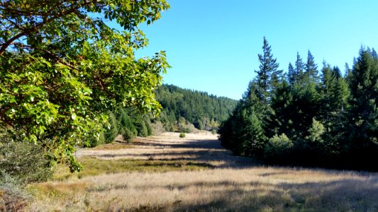 Hidden Valley Quest