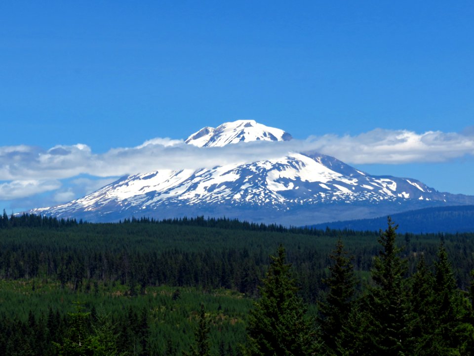 Mt. Adams Wilderness in WA