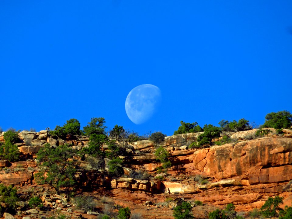 Needles District at Canyonlands NP in Utah