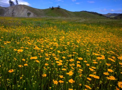 Berryessa Snow Mountain National Monument Dedication Celebration photo