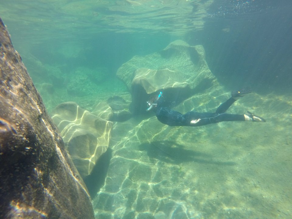 CONTEST WINNER: BLM Arcata Field Office Fish Survey