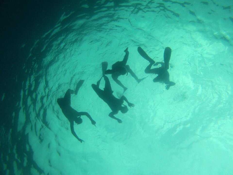 Marine nature adventure