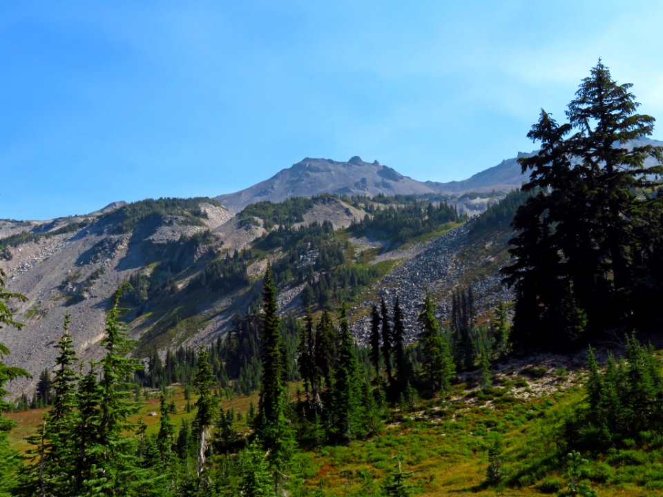 Goat Rocks Wilderness in WA