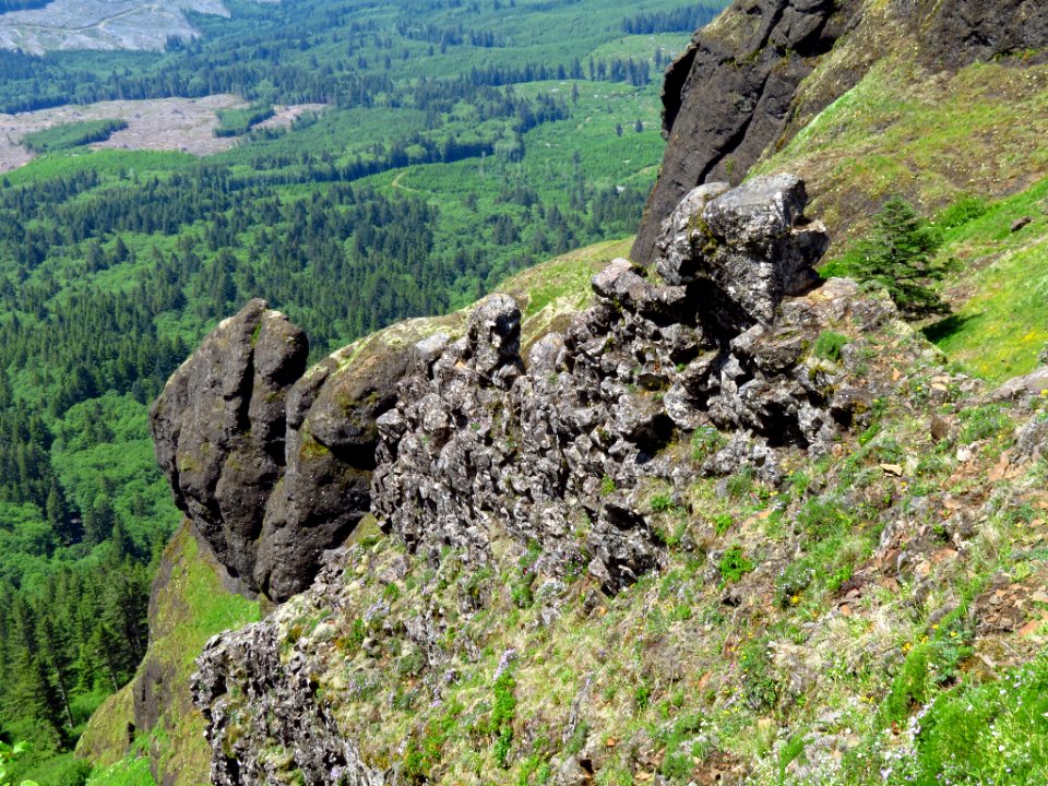 Saddle Mountain Trail in OR