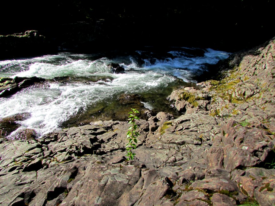 Lucia Falls Park at Lewis River in WA
