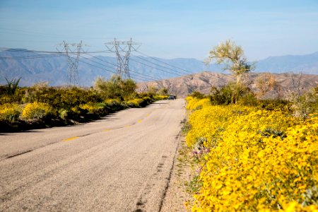 Utilities and Energy in the California Desert photo