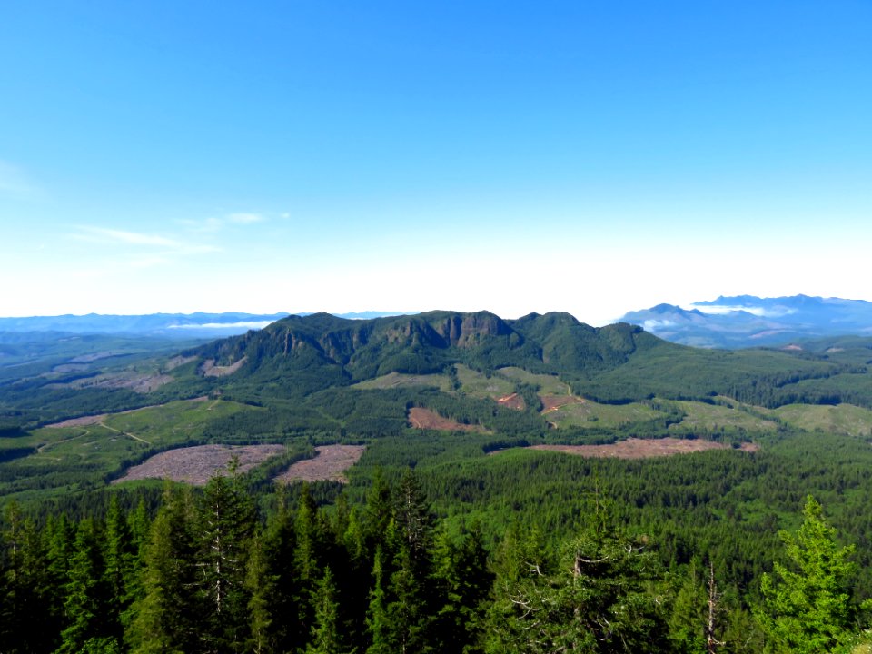 Saddle Mountain Trail in OR
