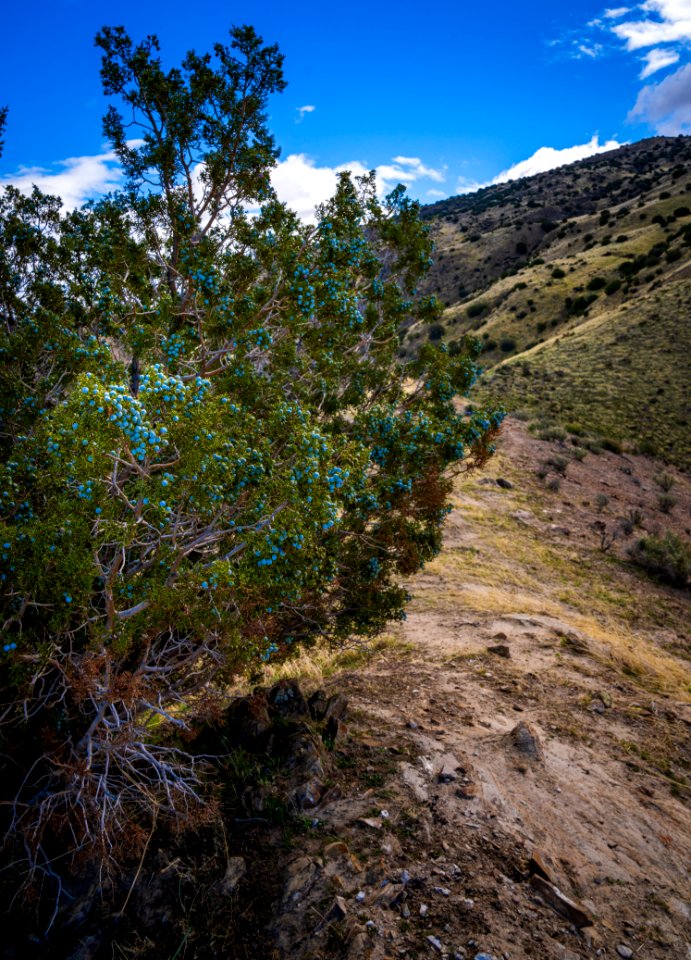 Griswold Hills
