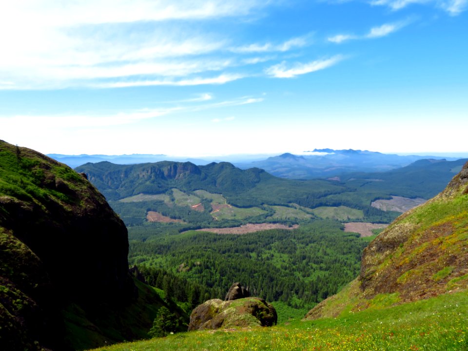 Saddle Mountain Trail in OR
