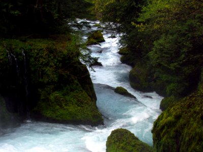 Spirit Falls Trail on Little White Salmon River in WA photo