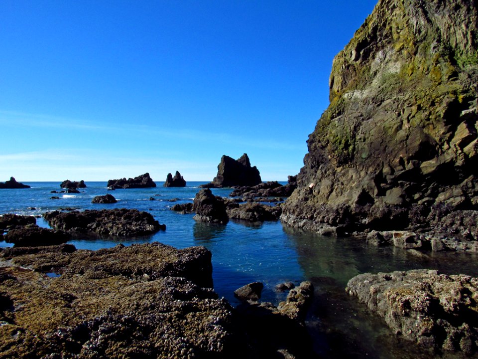 Low Tide at Pacific Coast in OR