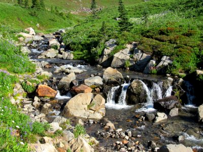 Waterfall at Skyline Trail at Mt. Rainier NP in WA