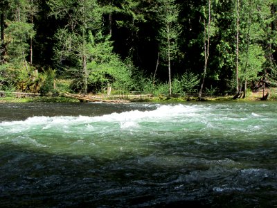 Lower Lewis River Falls Trail in WA photo