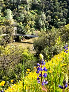 Merced River Recreation Management Area