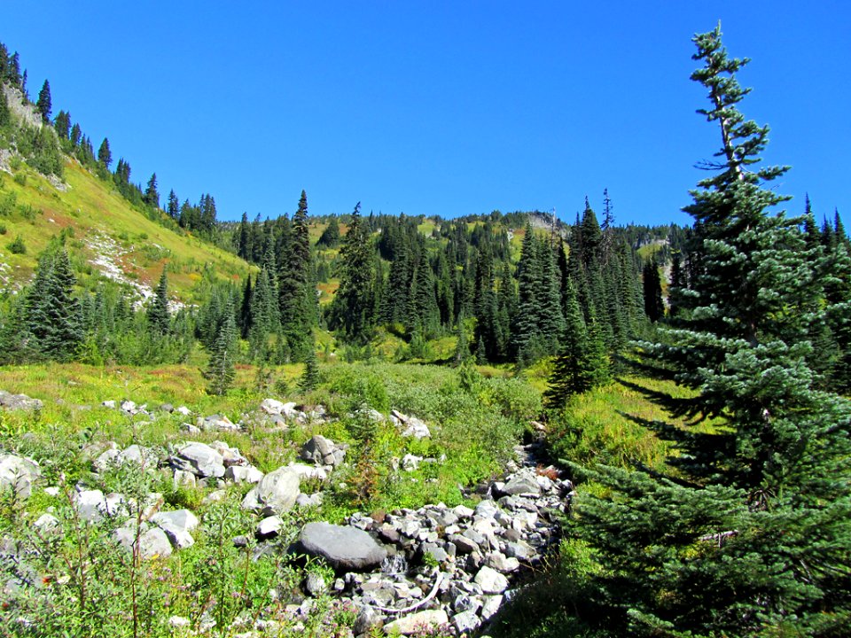 Mt. Rainier NP in WA