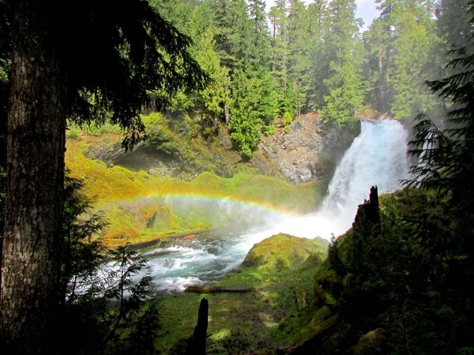Sahalie Falls at McKenzie River in Central OR