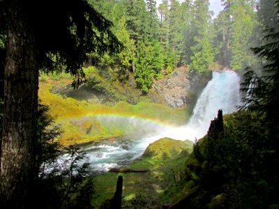 Sahalie Falls at McKenzie River in Central OR