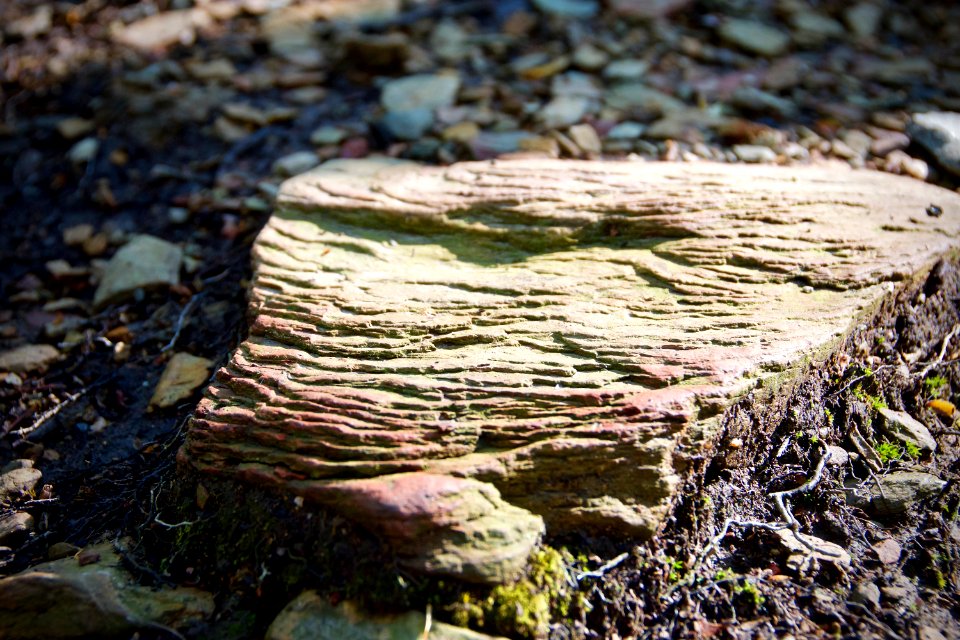 Sedimentary, my dear