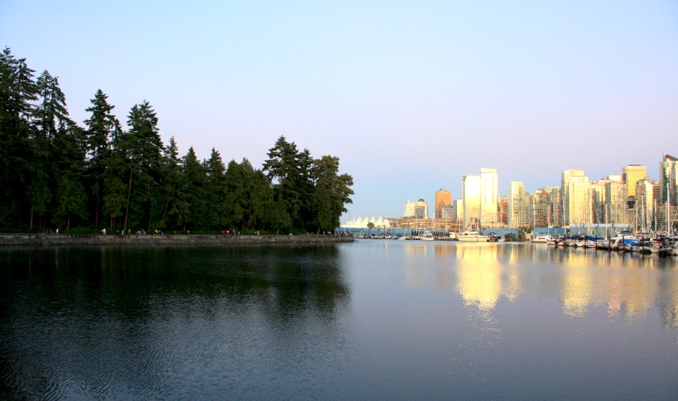 Stanley Park photo