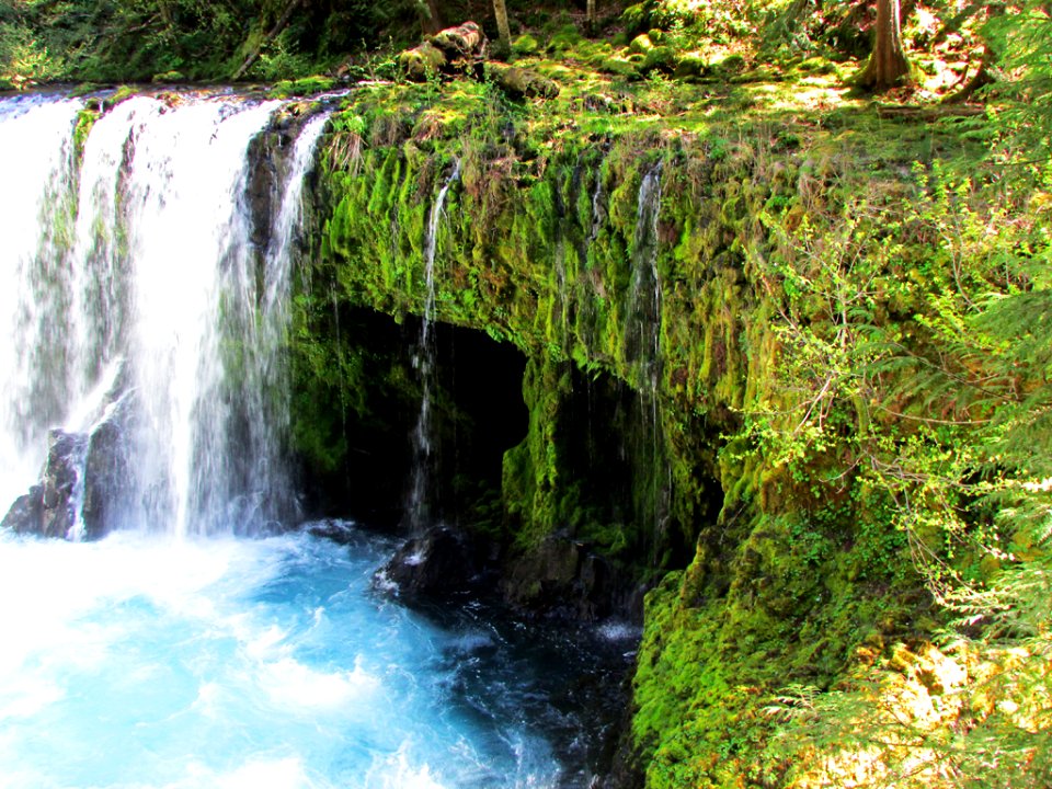 Spirit Falls Trail on Little White Salmon River in WA