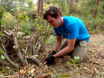 #NPLD 2017: Cleaning up the Susan River Trail