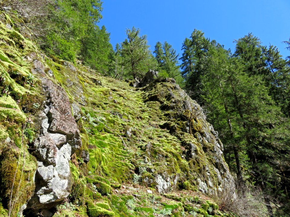 Opal Creek Wilderness in Oregon