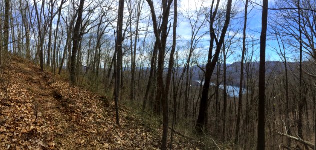 Fontana Lake from Appalachain Trail photo